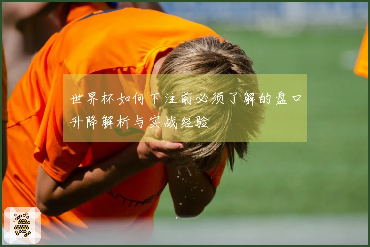 世界杯如何下注前必须了解的盘口升降解析与实战经验