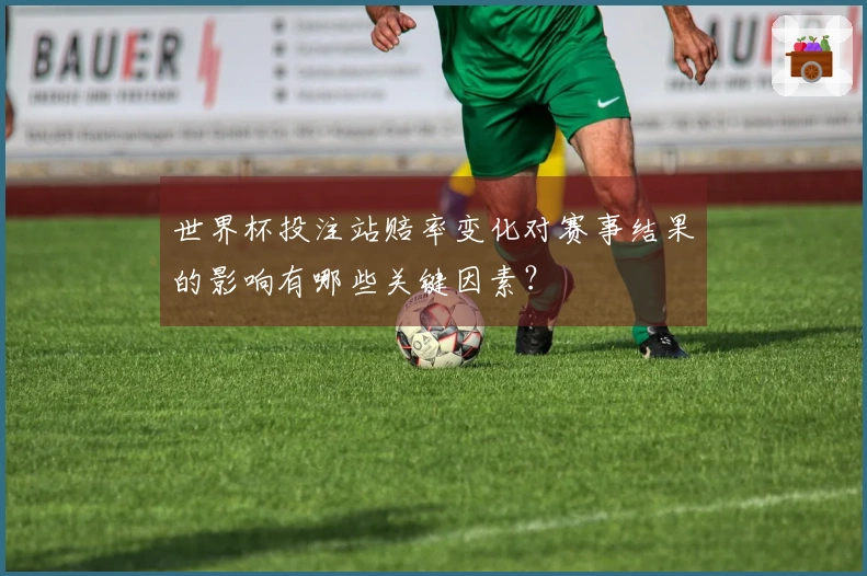 世界杯投注站赔率变化对赛事结果的影响有哪些关键因素？