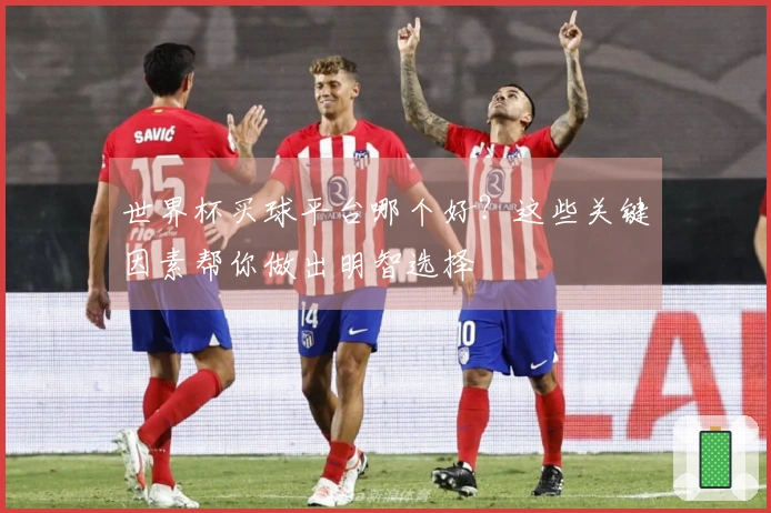 世界杯买球平台哪个好?这些关键因素帮你做出明智选择