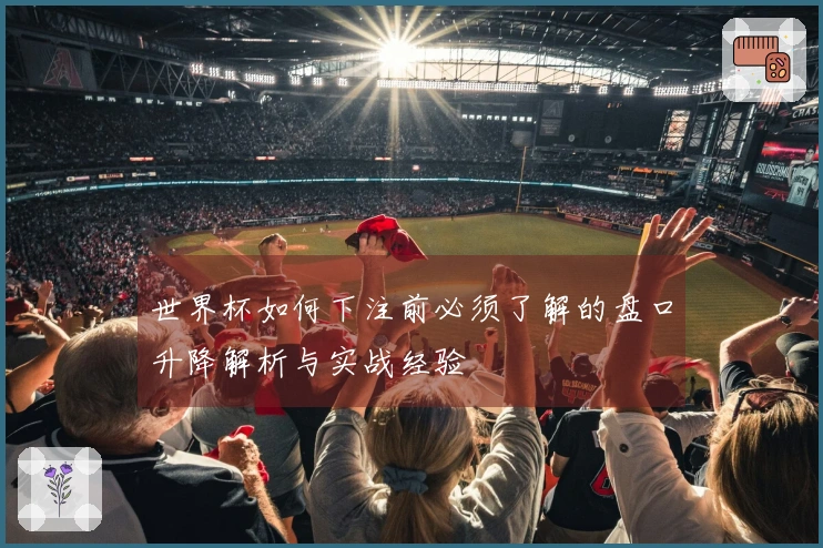 世界杯如何下注前必须了解的盘口升降解析与实战经验