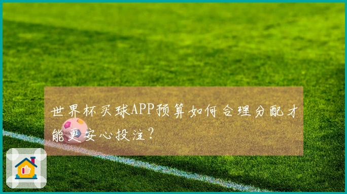 世界杯买球APP预算如何合理分配才能更安心投注？